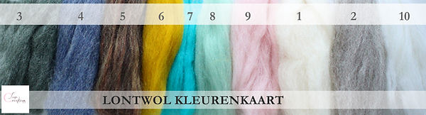 kleurenlontwolmetcijfersentekstenlogo.JP