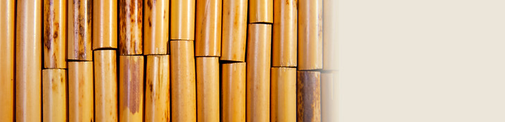 Cane Photo 4.jpg