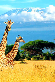 Países-de-África (1)_edited.jpg