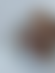 סניקרס בייגלה מלוח