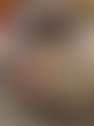 העוגת שוקולד בקופסה