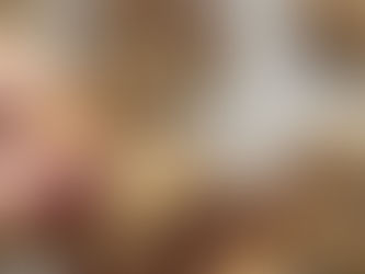 עוגיות שוקולד צ’יפס פרווה