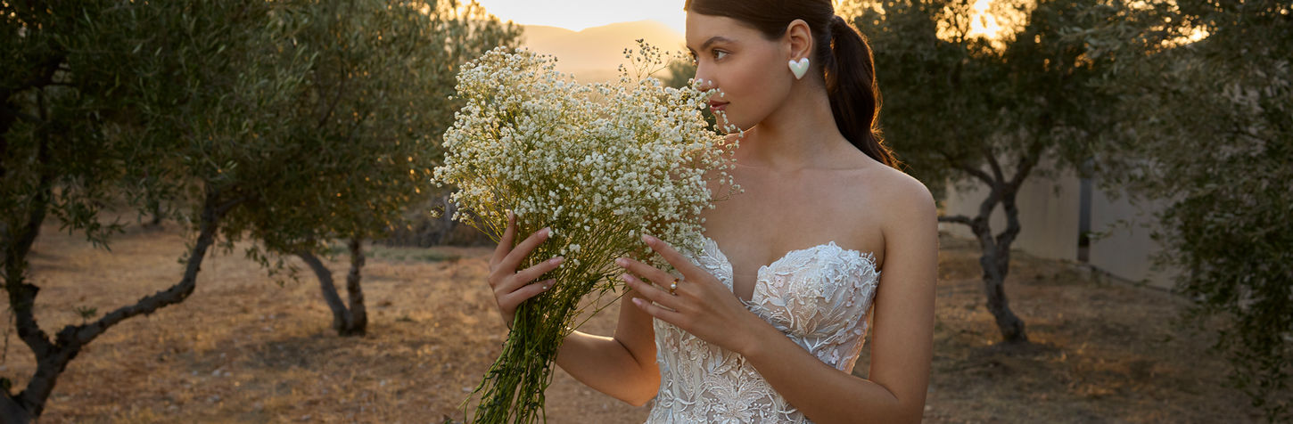 Collezione Demetrios
