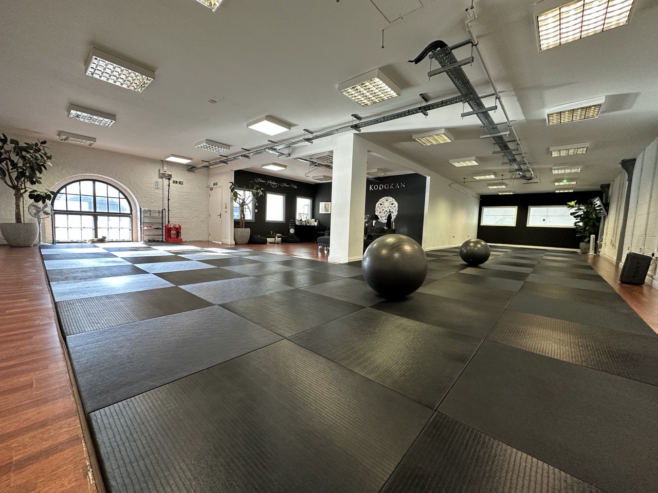 Kodokan Academy of Brazilian Jiu Jitsu - BJJ School London photo
