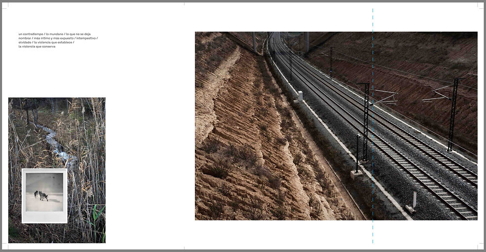 Fotolibro_JC(21x28)2-page17_fondo gris_web.jpg