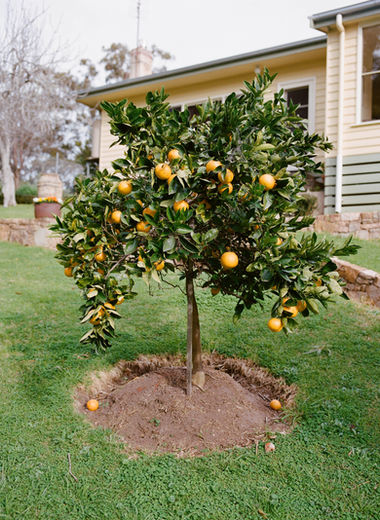 20210810-What Makes A Place A Home-3.jpg