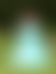 Introducing Baby Shark & Heading into Fall!