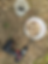 no till drill.png