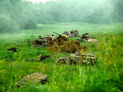 stalker_tanks