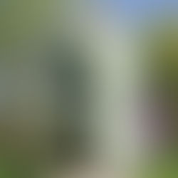 Tiny home Slube hotel