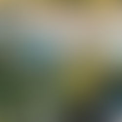 Slube hospitality: Redefining sustainable stays along Germany’s scenic routes