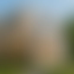 Home with optical wood use as suggested by AI