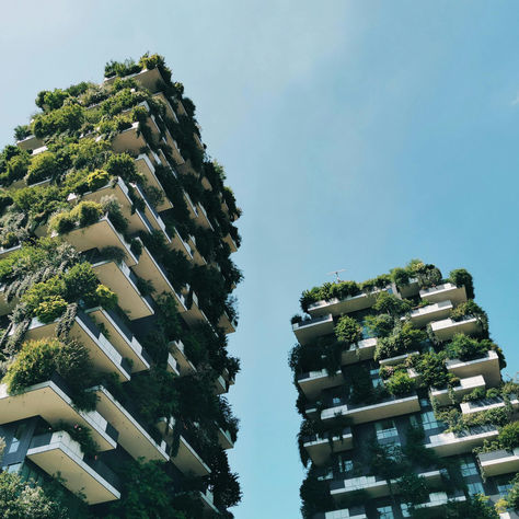 Vertical garden building in Milan, Italy