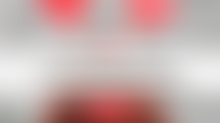 A Comprehensive Guide to Spousal Sponsorship in Canada