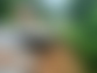 CRATERA NA JOHANN HADLICH É CONSERTADA APÓS COBRANÇA DO VEREADOR ITO