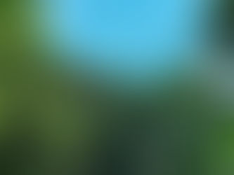 ILUMINAÇÃO PÚBLICA PARA A RUA PAULO ZINGEL FILHO APÓS ANOS DE REIVINDICAÇÃO