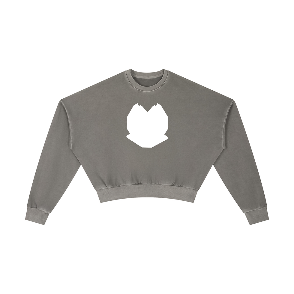 Phasewalkers Comfy Washed Cropped Sweatshirt