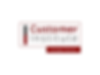 Customer Institute Strategic (1).png