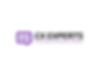 CX Experts (2).png
