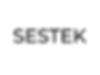 SESTEK.png