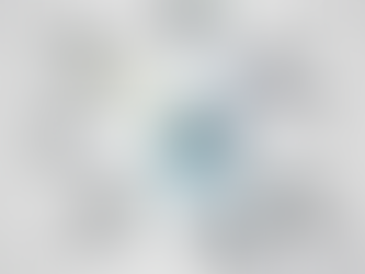 Vehicle network diagnostics