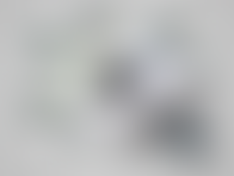 CAN Bus, LIN Bus & In-Vehicle Network Diagnostics