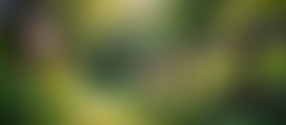 Top Fencing Services Offered by Presidio West Holdings