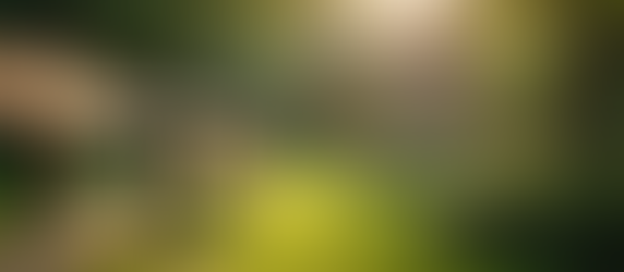 Quality Fencing Options from Presidio West Companies