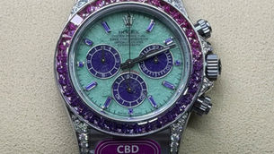 CBD Four Seasons Daytona “Spring” 126599 SAVL Review