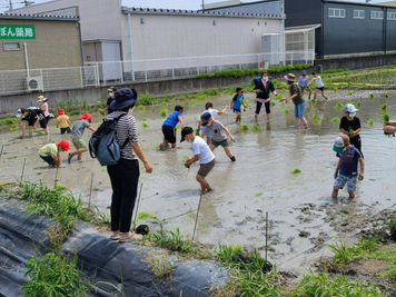 こども達の田植え体験（あい愛カフェ主催）R3/6/29