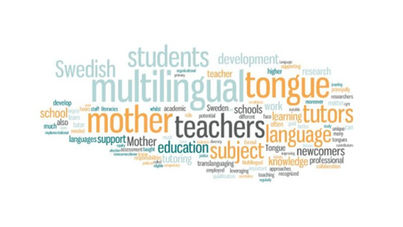 Mother Tongue Teachers and Multilingual Tutors: Invisible Contributors to the Development of Multilingual Literacies in Swedish Schools