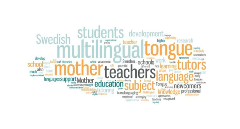 Mother Tongue Teachers and Multilingual Tutors: Invisible Contributors to the Development of Multilingual Literacies in Swedish Schools
