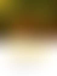 MINAS GERAIS PRECISA DE PROTEÇÃO E SOLIDARIEDADE