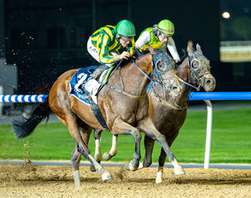 Dubai Racing Carnival at Meydan Racecourse