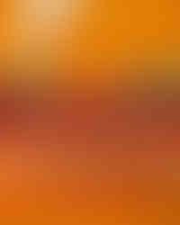 Crispy Chicken Tufted Rugs