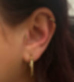Tragus
