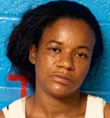 Minimal Charges for North Carolina Mother Whose Infant was Found Dead in a Suitcase in Her Closet!