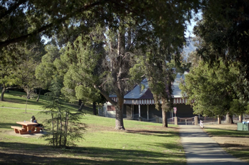 Body Found Hanging and Burning in Los Angeles' Popular Griffith Park. No Foul Play Suspected.