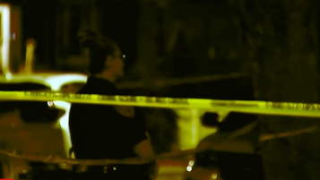 Son, 18, Fatally Shoots His Mother, and Wounds His Father, at the Family Dinner Table!