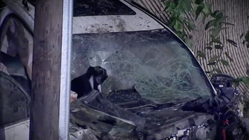Teen Valet Driver Charged with Murder for Killing Three Valet Drivers While Driving Customer's Car!