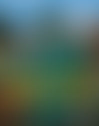 BET's "The Coach Vick Experience," Executive Produced by NFL Legends Michael Vick, Michael Strahan and Deion Sanders.