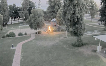 Woman, in Public Park, Caught on Camera Dousing a Man with Gas and Setting Him on Fire!