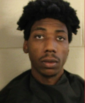Georgia Man Arrested for Allegedly Breaking the Neck of an Infant and Trying to Smother Tiny Twins!
