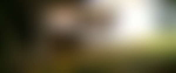 West Virginian Child Goes on a Killing Spree Leaving Four Members of His Family Dead by "Violence"!