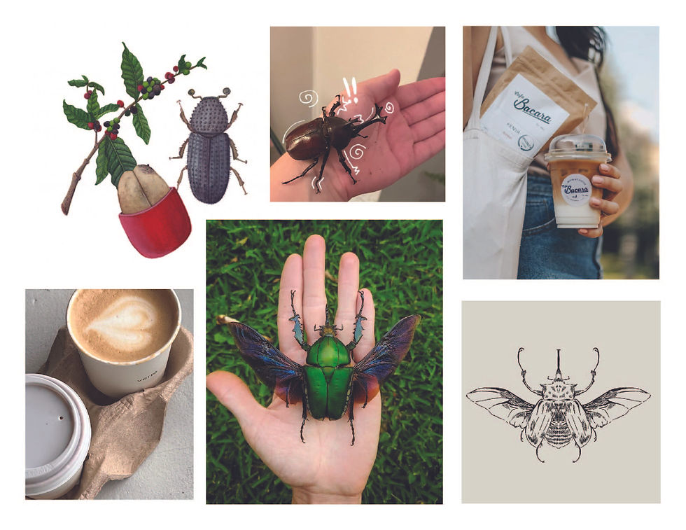 Brand Moodboard