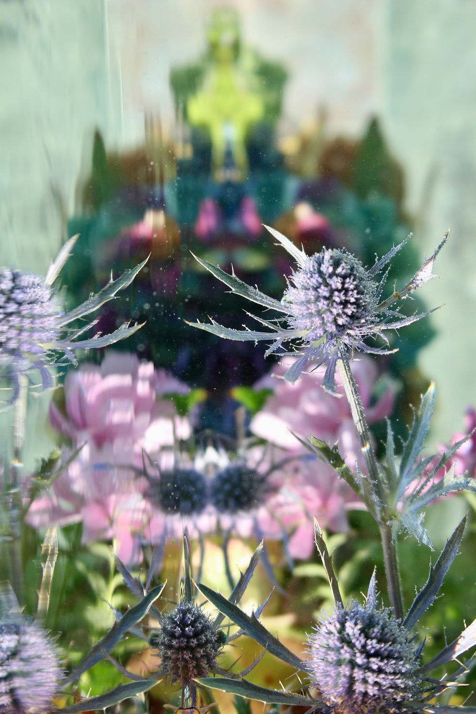 Submerged Garden 7381