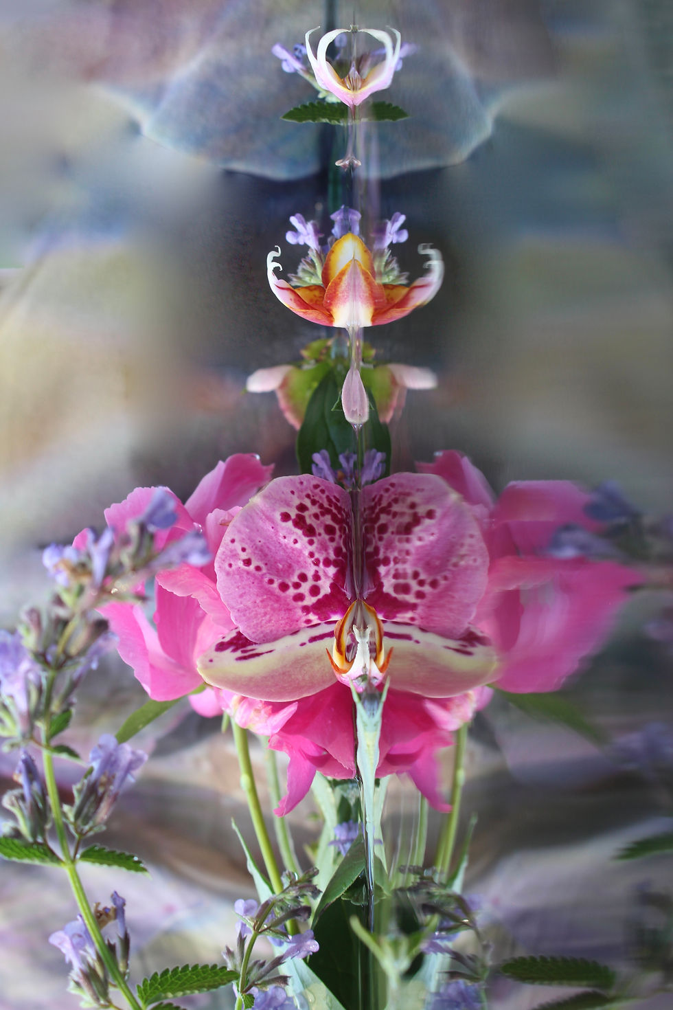 Submerged Garden 2671