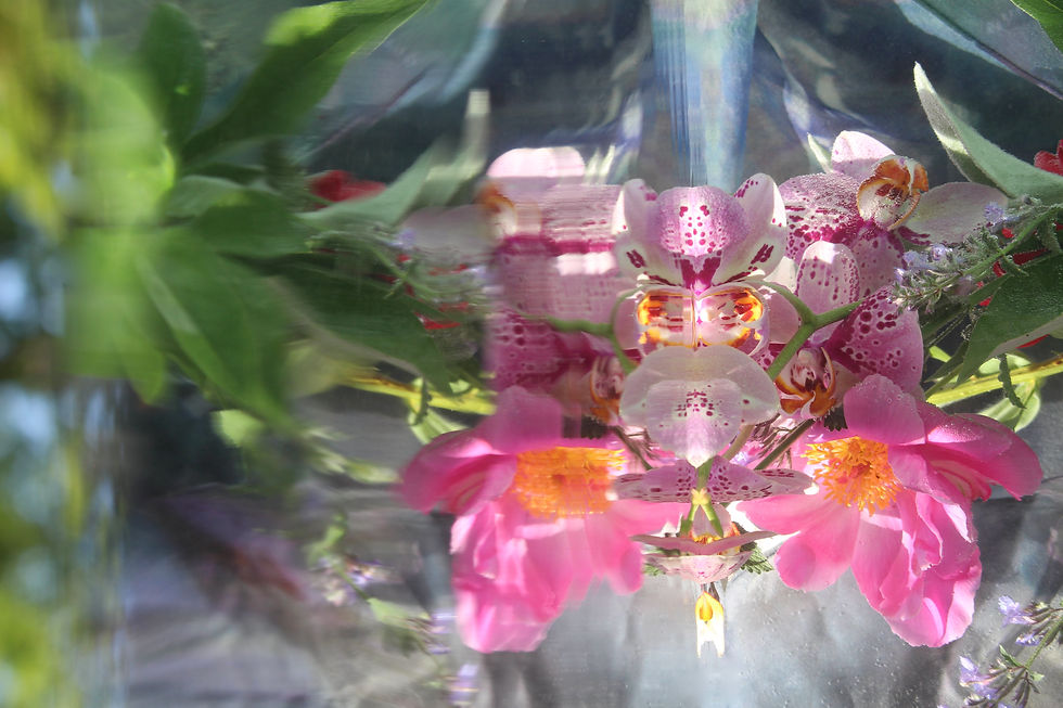 Submerged Garden 2048