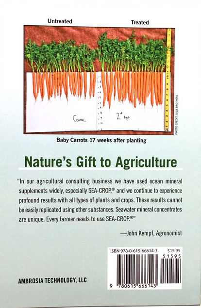 back of book_edited_edited_edited_edited