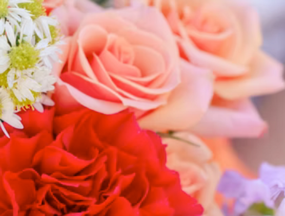 Screenshot 2025-07-05 at 8.40.50 AM.png